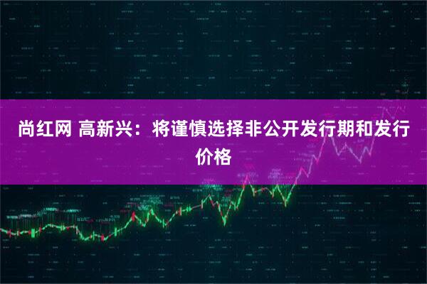 尚红网 高新兴：将谨慎选择非公开发行期和发行价格
