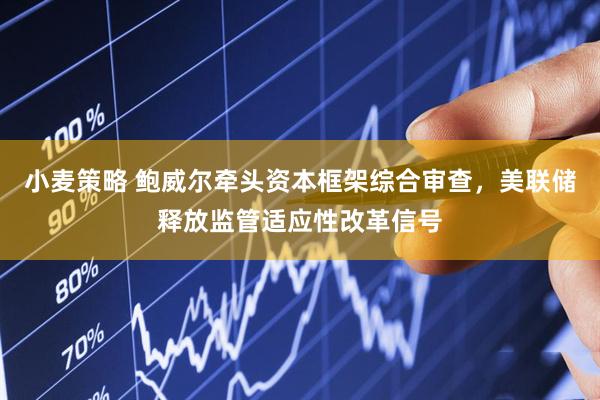 小麦策略 鲍威尔牵头资本框架综合审查，美联储释放监管适应性改革信号
