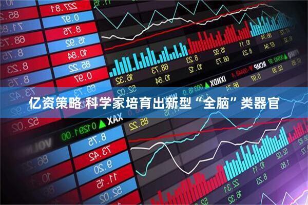 亿资策略 科学家培育出新型“全脑”类器官