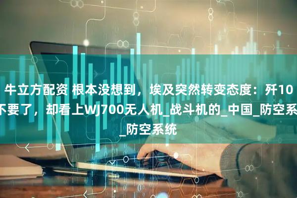 牛立方配资 根本没想到，埃及突然转变态度：歼10C不要了，却看上WJ700无人机_战斗机的_中国_防空系统