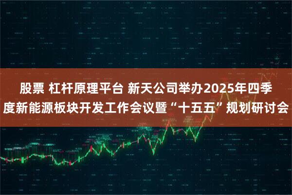 股票 杠杆原理平台 新天公司举办2025年四季度新能源板块开发工作会议暨“十五五”规划研讨会