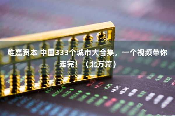 维嘉资本 中国333个城市大合集，一个视频带你走完！（北方篇）