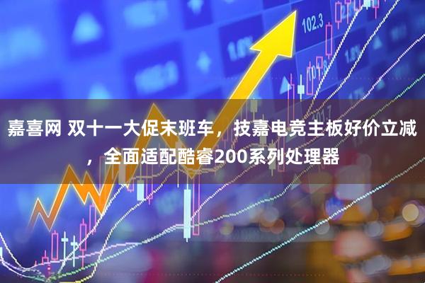 嘉喜网 双十一大促末班车，技嘉电竞主板好价立减，全面适配酷睿200系列处理器